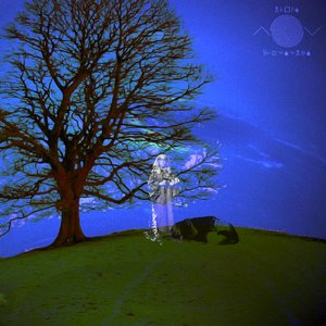 a recounting of a dream in which i was laura palmer investigating my own murder and using the great golden womb in the sky as a shortcut between crime scenes
