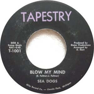 The Sea Dogs 的头像