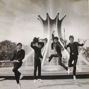 The Fabulous Falcons 的头像
