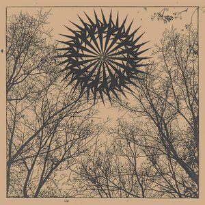 it takes a forest to flourish - EP