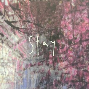 Stay