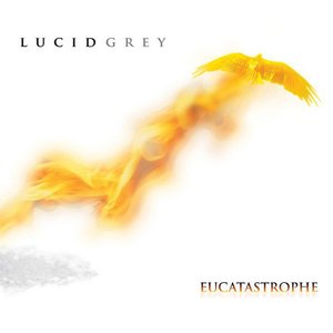 Image for 'Lucid Gray'