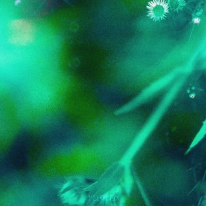 Flutter - EP