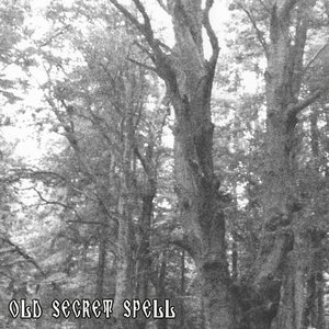 Old Secret Spell 的头像