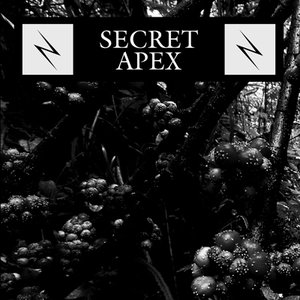 Avatar for Secret Apex