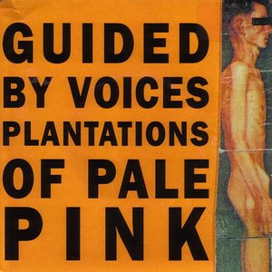 Plantations Of Pale Pink - EP
