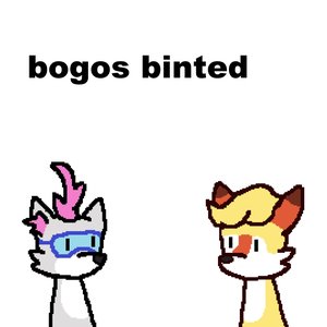 bogos binted