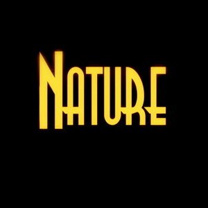 Аватар для producernature