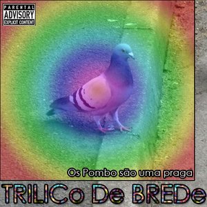 Image for 'Trilico de Brede'