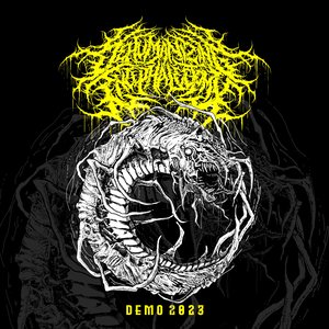 Demo 2023 - Single