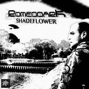 Shadeflower
