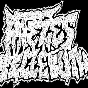 Ateles belzebuth 的头像