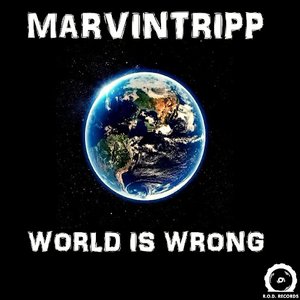 World Is Wrong
