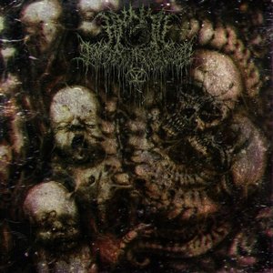 Toxic Wasteland [Explicit]