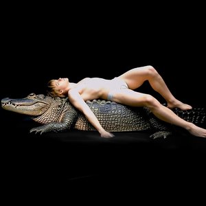 Alliigator And Its Valuable Skin [Explicit]