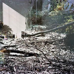 Dissonant - Single