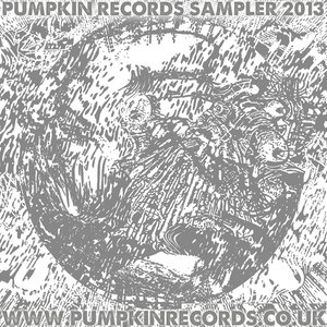 Sampler 2013