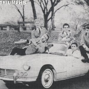 Immagine per 'The Triumphs'