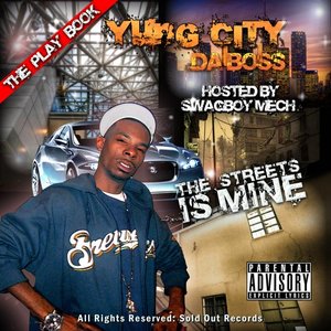 “streets is mine/ the playbook”的封面
