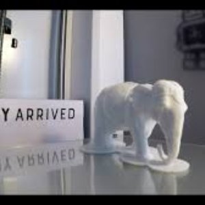 White Elephant