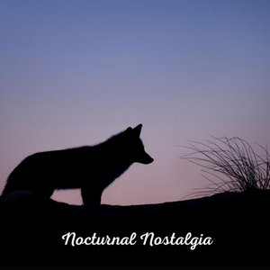 Nocturnal Nostalgia