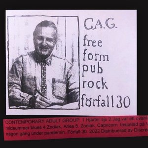 Free Form Pub Rock