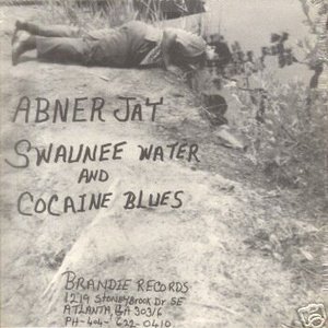 'Swaunee Water and Cocaine Blues' için resim