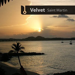 Velvet Br 的头像