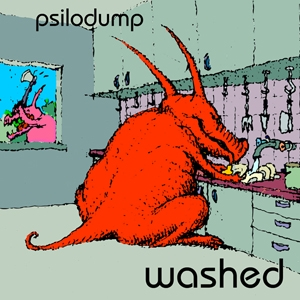 Washed cover