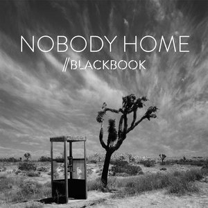 Nobody Home - Single