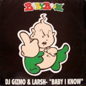 Avatar for DJ Gizmo & Larsh