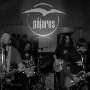Avatar for Pajaros