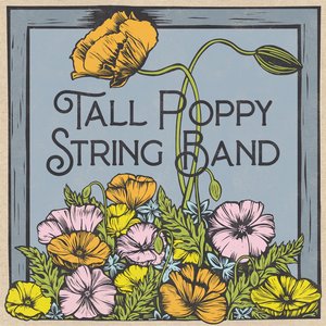 Tall Poppy String Band