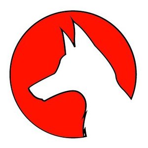 Fox and The Moon 的头像