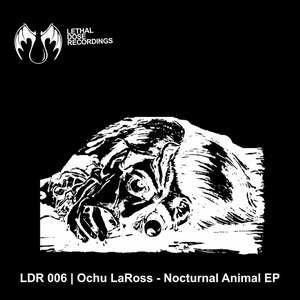 Nocturnal Animal EP