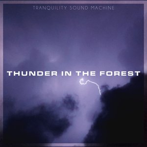 Thunder In The Forest