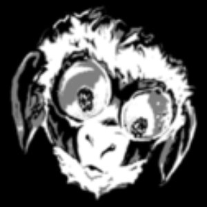 LostSheep 的头像