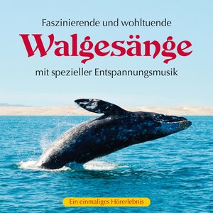 Walgesänge mit spezieller Entspannungsmusik