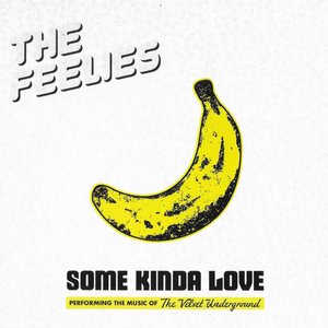 Some Kinda Love (Performing The Music Of The Velvet Underground)