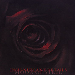 Insignificant Details cover