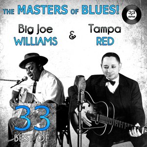 The Masters of Blues! (33 Best of Big Joe Williams & Tampa Red)