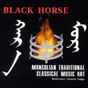 Black Horse için avatar