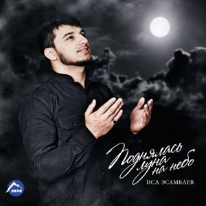 Поднялась луна на небо