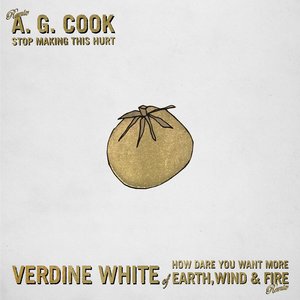 Stop Making This Hurt (A.G. Cook Remix) / How Dare You Want More (Verdine White of Earth, Wind & Fire Remix) - Single