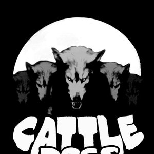 Cattle Dogs のアバター