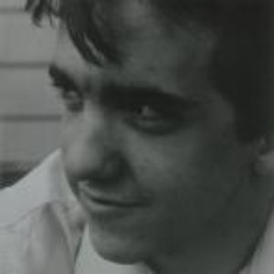 Magnetic Fields - 69 Love Songs Vol. 1 - Zortam Music