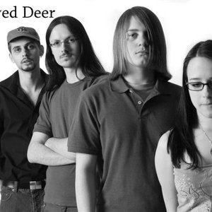 No Eyed Deer 的头像