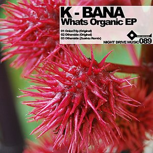 Whats Organic EP