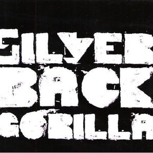 Silverback Gorilla 的头像
