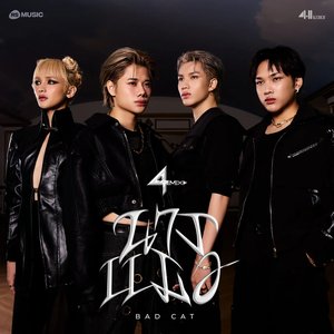 นางเเมว (BAD CAT)
